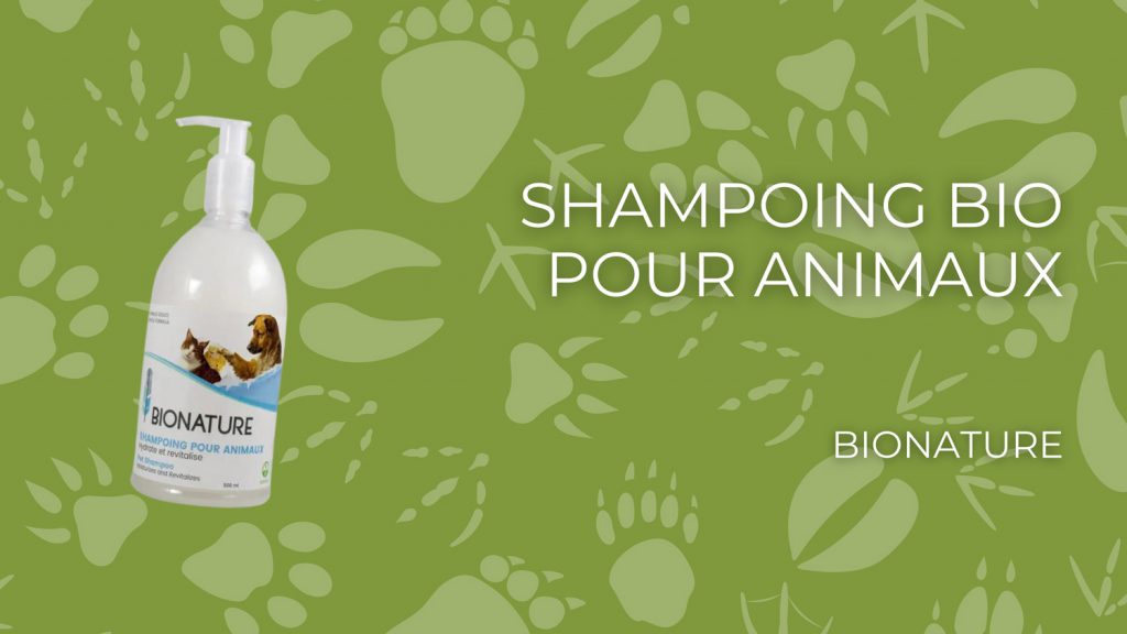 shampoing pour chiens