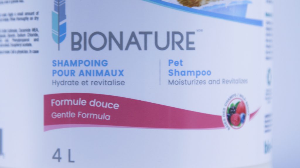 shampoo for dogs and cats 