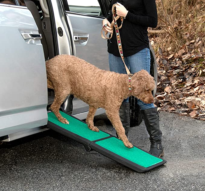 outdoor dog ramp 