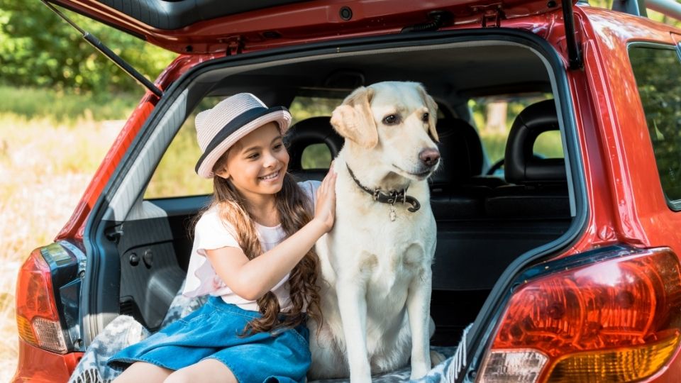 10 conseils pour voyager avec son chien en voiture - Lotus