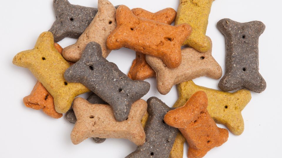 biscuit au charbon pour chien