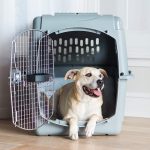 Sky kennel cage, products for all sizes of dogs